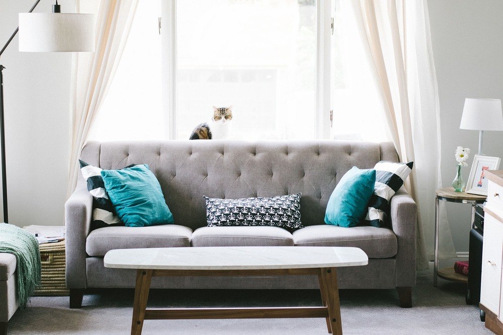 Designerkissen – Hingucker auf Sofa, Couch und Sessel